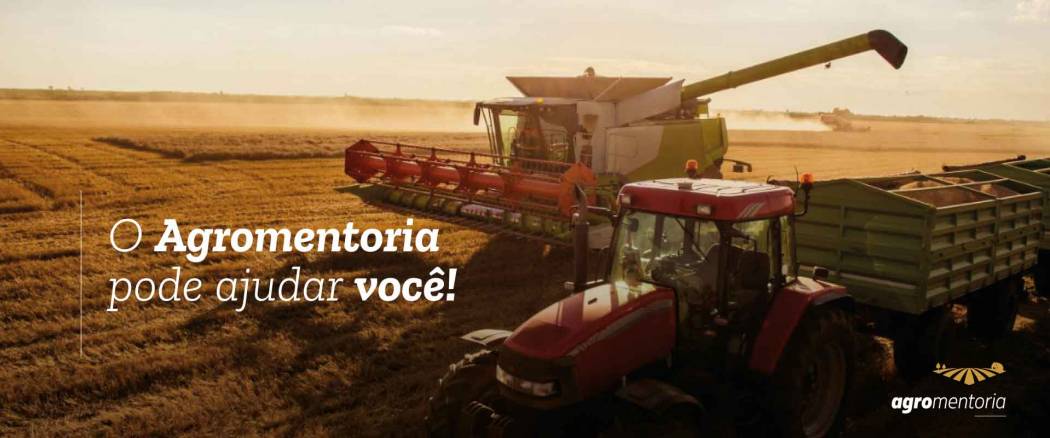 Perdas de Safra de Verão 2021/2022