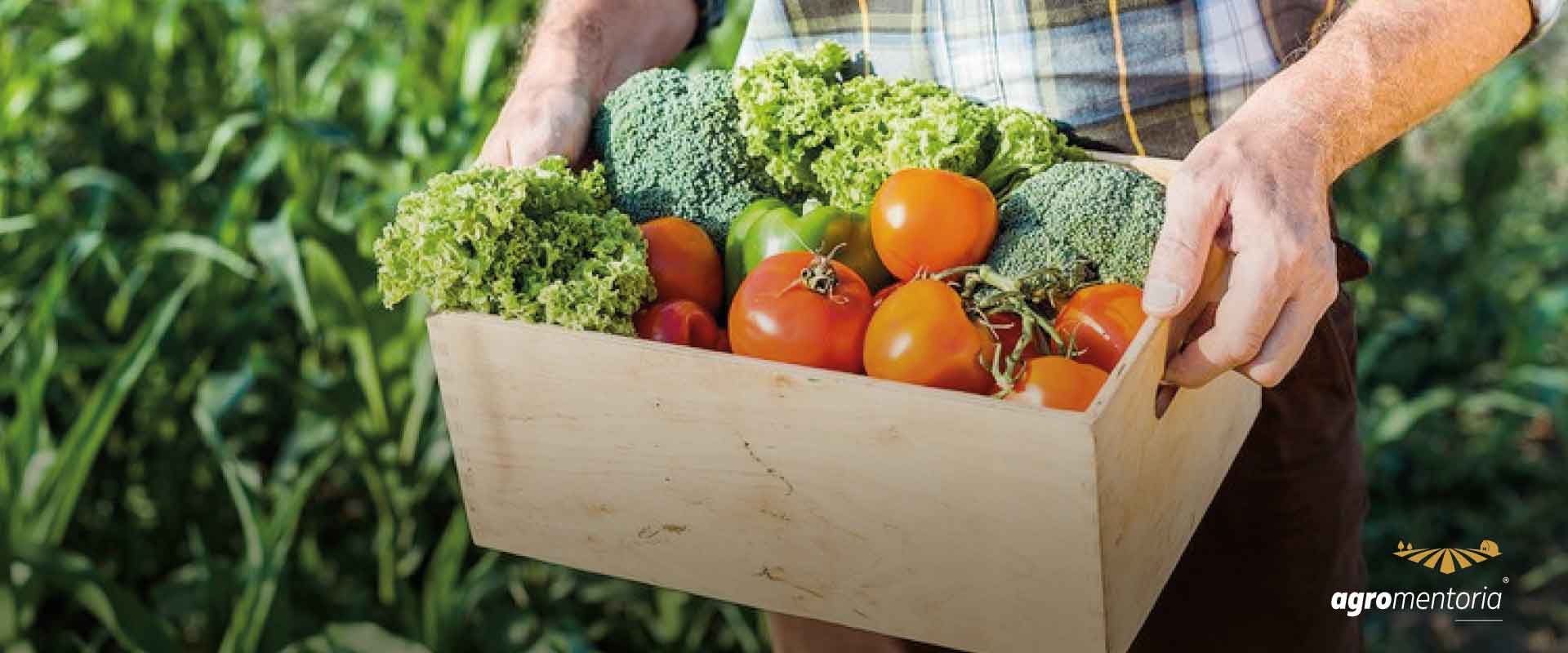 Medida Provisória atualiza normas relacionadas à Cédula de Produto Rural e ao Fundo Garantidor Solidário