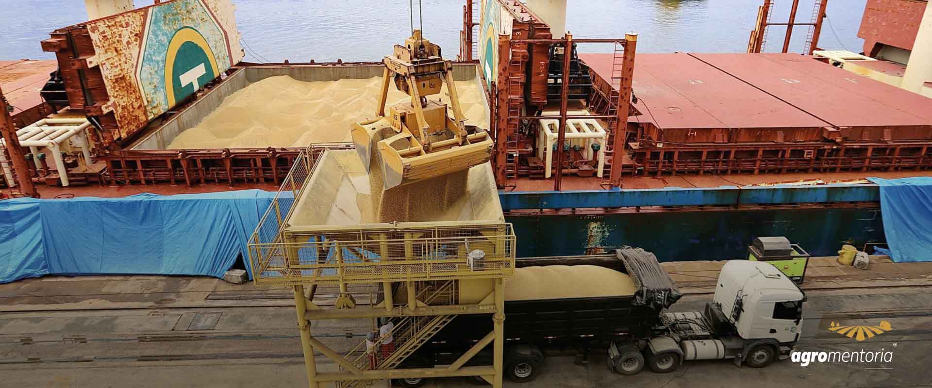 Exportação de soja brasileira cresce 260% no primeiro bimestre de 2022