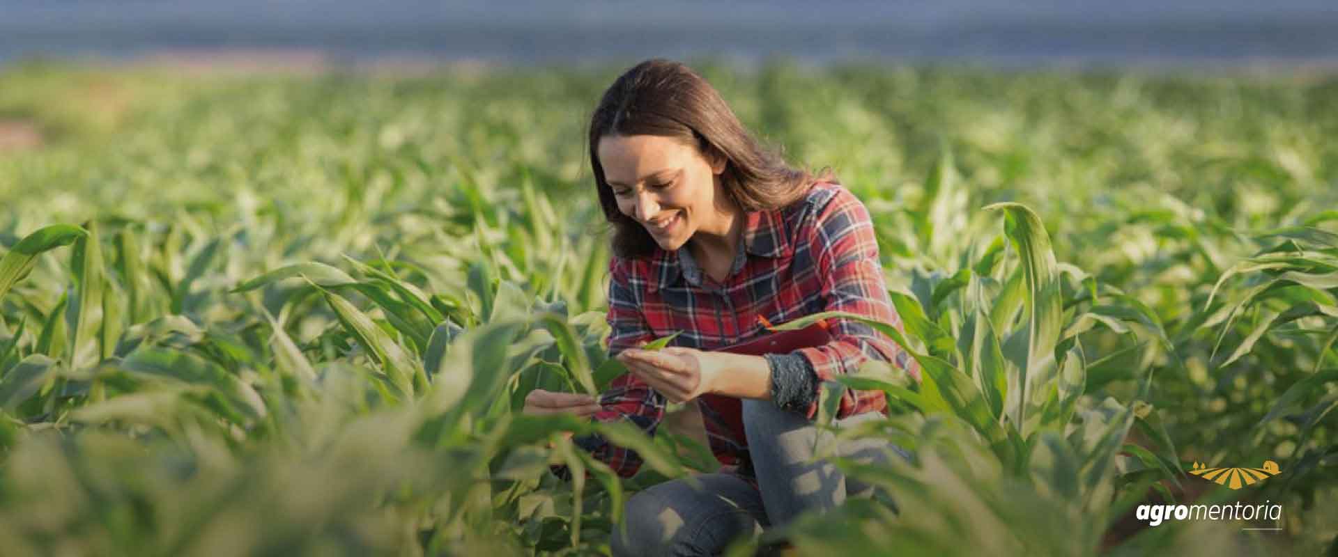 Mulheres do agro promovem debate sobre ações sustentáveis no meio rural