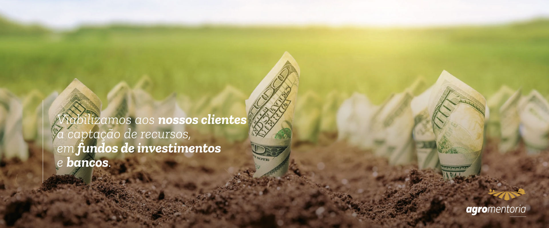 Captação de Recursos