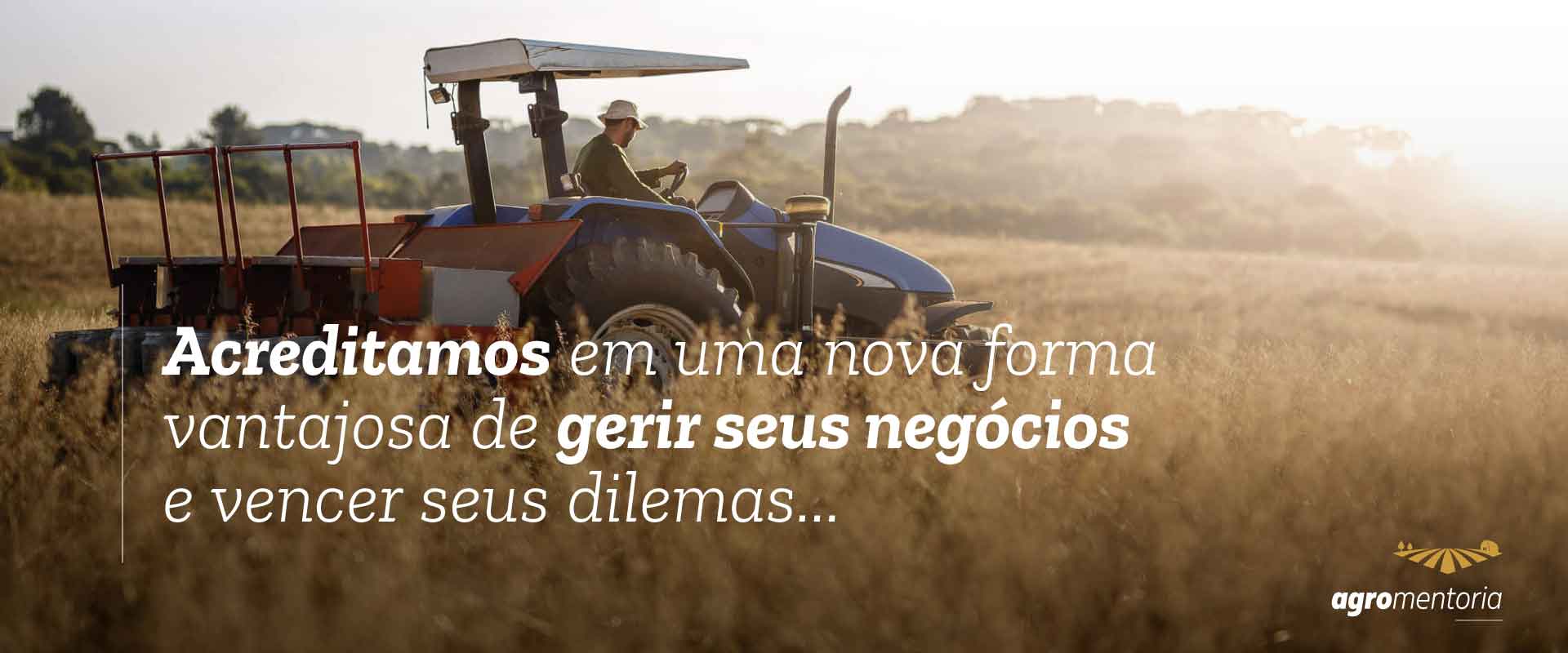 Tabela de serviços do AgroMentoria