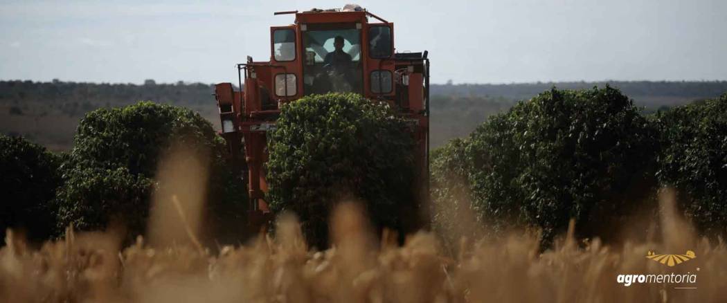 MP 1.376/2026: o que muda na renegociação das dívidas rurais e o que o produtor precisa saber agora